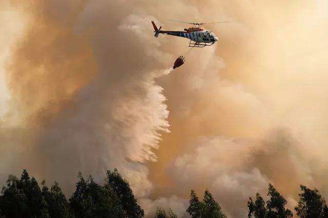 A firefighting helicopter drops its load of water on a forest fire near Santa Comba Dao, northern Portugal, Thursday, August 11 2016. Firefighters in Portugal are battling multiple blazes fed by brush in a hot, dry summer for a sixth straight day. Major fires have also been raging in northwestern Spain and southern France. (Photo by Sergio Azenha/AP Photo)