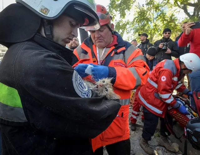 Rescuers help a cat that was rescued from a residential building destroyed by a Russian drone strike, which local authorities consider to be Iranian-made unmanned aerial vehicles (UAVs) Shahed-136, amid Russia's attack on Ukraine, in Kyiv, Ukraine on October 17, 2022. (Photo by Oleksandr Klymenko/Reuters)