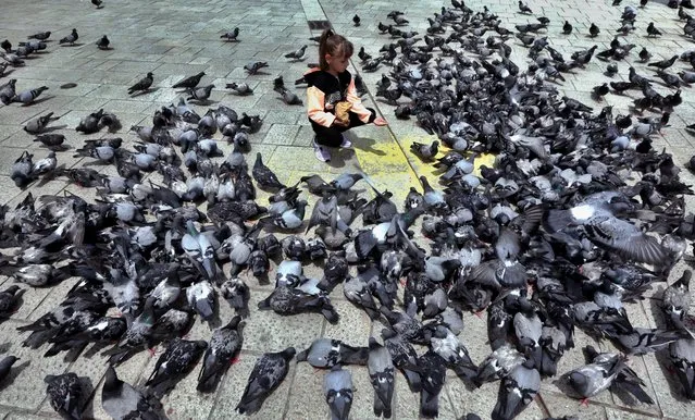 A girl feeds pigeons on the eve of World Environment Day in Sarajevo, Bosnia and Herzegovina, 04 June 2020. World Environment Day is held every year on 05 June, and this year's theme is “Celebrate Biodiversity”. (Photo by Fehim Demir/EPA/EFE)