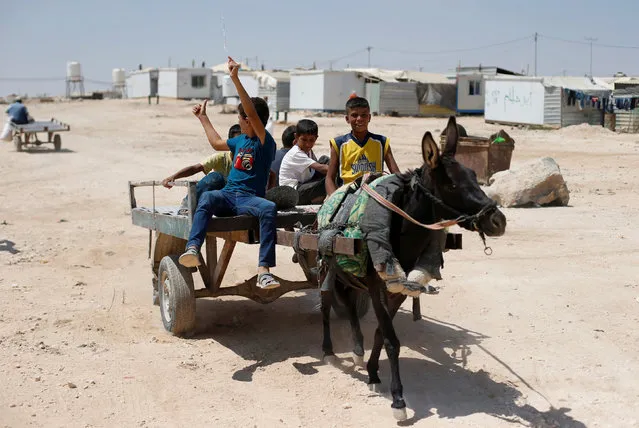 Syrian refugee Ahmad (R), 13, rides a donkey cart with his friends before he loads stones onto a cart to be sold and used for paving at Al Zaatari refugee camp in the Jordanian city of Mafraq, near the border with Syria, August 18, 2016. REUTERS/Muhammad Hamed