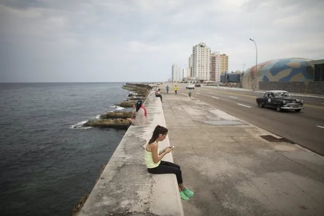 U.S. medical student Yasemin Lawson, 35, from Washington, uses the internet at a Wi-Fi hotspot in Havana, September 22, 2015. (Photo by Alexandre Meneghini/Reuters)