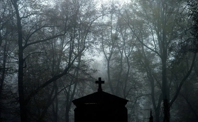 An grave at the foggy Olsany Cemetery during All Souls' Day in Prague, Czech Republic, 2 November 2014. All Saints' and All Souls' Day is a Christian festival mainly celebrated by Catholics to remember the dead. People visits the graves of loved ones and place candles and flowers. (Photo by Filip Singer/EPA)