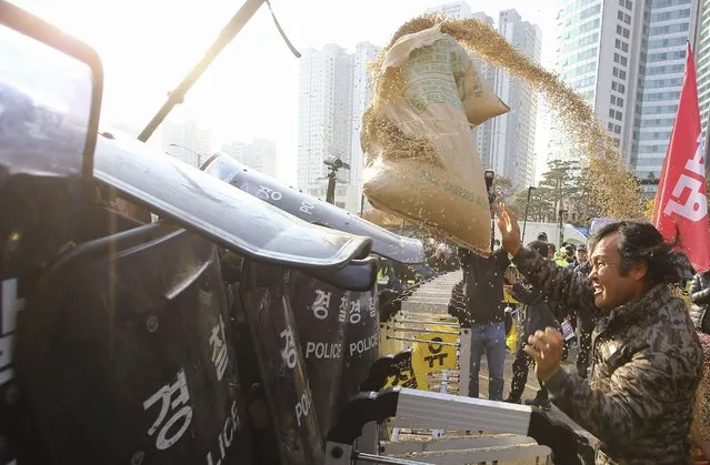 Farmer protesters throw an ear of rice toward police (L) during a rally against government's Agricultural Policy near the Presidential office in Seoul, South Korea, 08 November 2022. The protesters gathered to call for measures to stabilize rice prices. (Photo by Jeon Heon-Kyun/EPA/EFE)