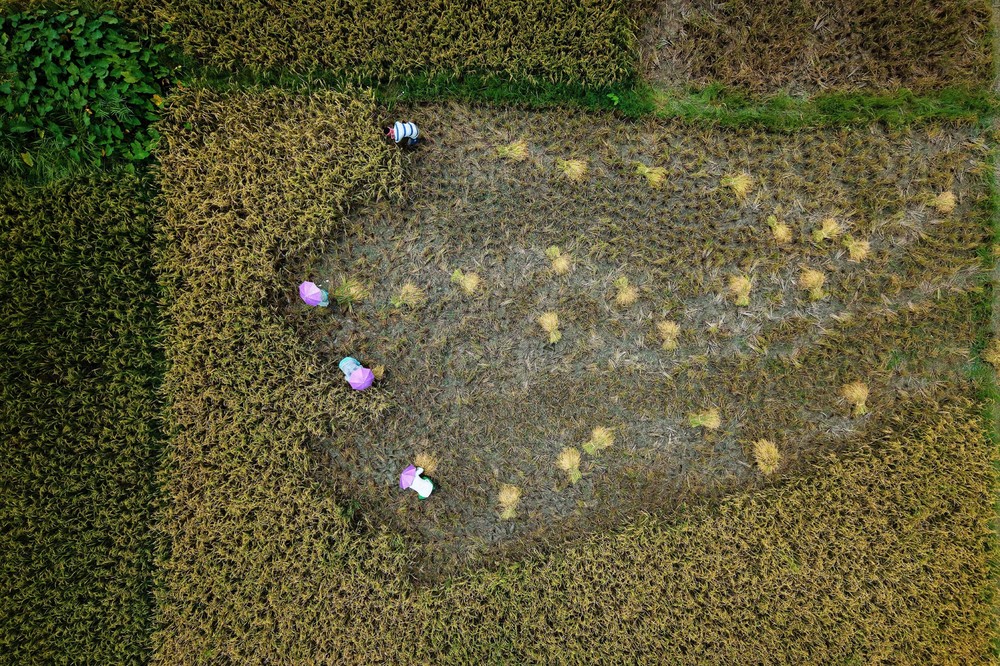 A Look at Life in India