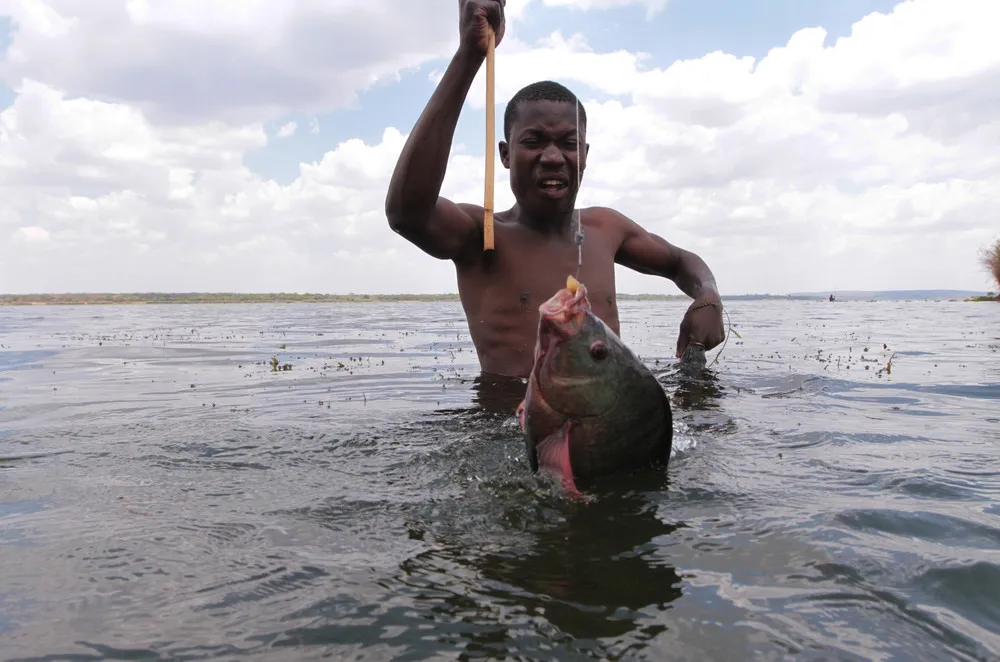 Illegally Fishing in Zimbabwe