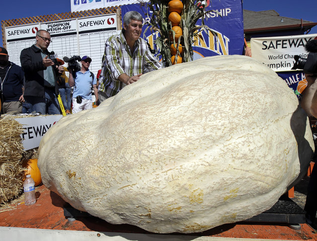 Steve Daletas, center, of Pleasant Hill, Ore. poses for photos with his his pumpkin, which weighed in at 1969 pounds to win the Annual Safeway World Championship Pumpkin Weigh-Off Monday, October 12, 2015, in Half Moon Bay, Calif. (Photo by Marcio Jose Sanchez/AP Photo)