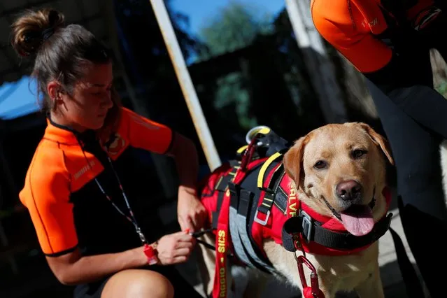 A member of an all-female group of canine rescuers from the Italian School of Rescue Dogs (La Scuola Italiana Cani Salvataggio) gets ready to attend a training session with her dog before patrolling the beach to ensure swimmers can enjoy their time at the sea in safety, in Riva dei Tarquini, near Rome, Italy, August 25, 2020. (Photo by Guglielmo Mangiapane/Reuters)