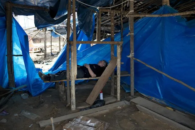 In this November 11, 2014 photo, a policeman takes a nap on a wooden slat, in an illegal gold mining camp after it was occupied in a police operation to eradicate illegal gold mining camps in the area known as La Pampa, in Peru's Madre de Dios region. (Photo by Rodrigo Abd/AP Photo)