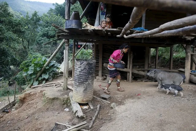 An ethnic Kayaw woman Lay Thar Oo, 45, feeds her pigs at her home at Htaykho village in the Kayah state, Myanmar September 12, 2015. (Photo by Soe Zeya Tun/Reuters)