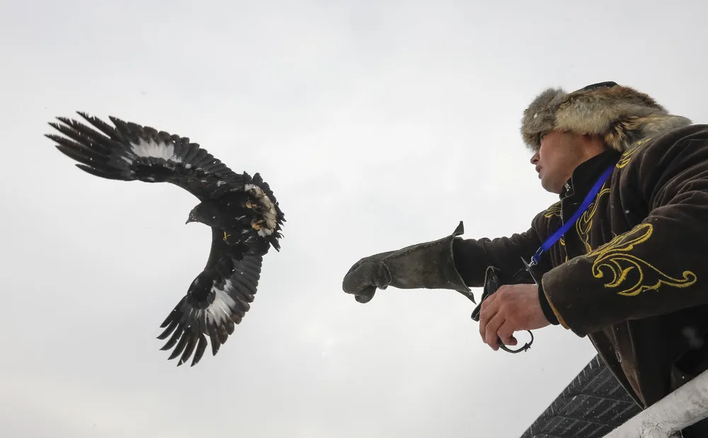 Kazakhstan's Top Eagle Hunter