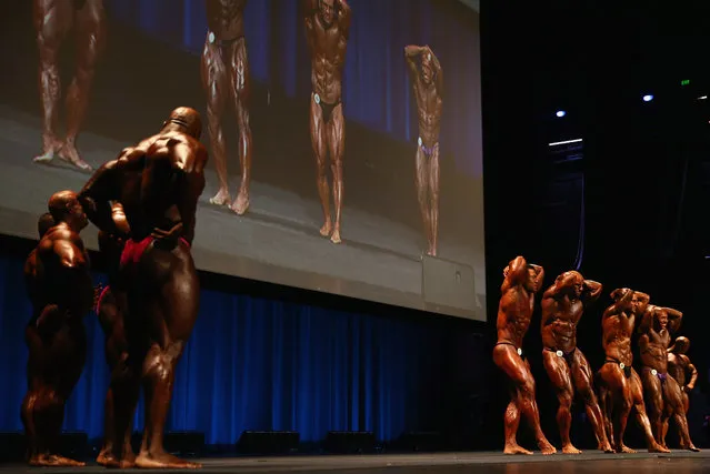 Competitors stand on stage during the IFBB Australia Pro Grand Prix at The Plenary on March 9, 2013 in Melbourne, Australia.  (Photo by Robert Cianflone)
