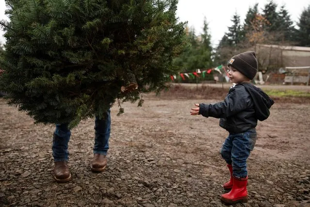 Ryan Swader of Salem loads a Christmas tree after picking it out, next to his son Waylon, 2, at Tucker Tree Farm in Salem, Oregon, U.S. November 29, 2020. (Photo by Alisha Jucevic/Reuters)