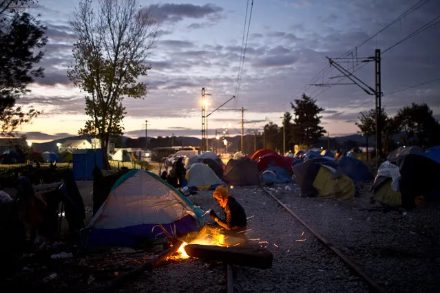 A stranded migrant warms himself by a fire at the Greek-Macedonian border, near the northern Greek village of Idomeni, Sunday, November 29, 2015. (Photo by Muhammed Muheisen/AP Photo)