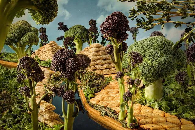Student Food Photographer of the Year supported by the Royal Photographic Society – Amazonian Foodscape. An imaginative scene that could be somewhere in the dense Amazonian jungle, made out of food. (Photo by Kim Bainbridge/Pink Lady Food Awards 2023)