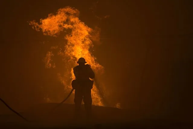 A firefighter hoses down burning pipes near a water tank at the Sand Fire on July 23 2016 near Santa Clarita, California. Fueled by temperatures reaching about 108 degrees fahrenheit, the wildfire began yesterday has grown to 11,000 acres. (Photo by David McNew/AFP Photo)
