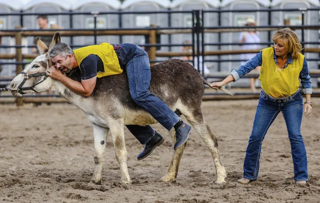 Team Yellow competes in the Burro Racing at the Beaver Creek Rodeo on Thursday, June 28, 2018, in Avon, Colo. (Photo by Chris Dillmann/Vail Daily via AP Photo)