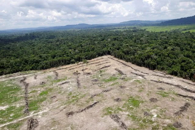 An aerial view of cleared land is seen during an operation to combat illegal mining and logging conducted by agents of the Brazilian Institute for the Environment and Renewable Natural Resources, or Ibama, supported by military police, in the municipality of Novo Progresso, Para State, northern Brazil, November 11, 2016. (Photo by Ueslei Marcelino/Reuters)