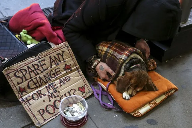 A man sits on 42nd Street with his dog in the Manhattan borough of New York, January 5, 2016. (Photo by Carlo Allegri/Reuters)