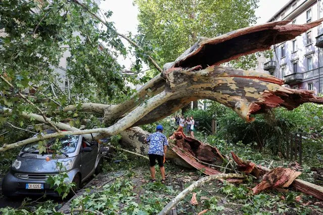 People stand amidst fallen trees following thunderstorms and torrential rain in Milan, Italy on July 25, 2023. (Photo by Claudia Greco/Reuters)