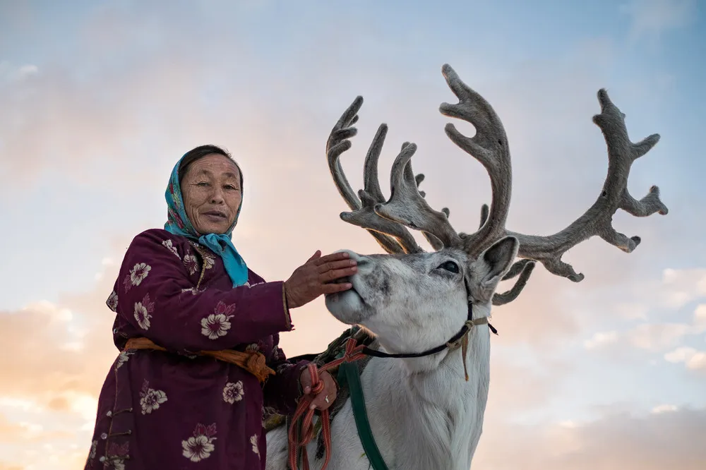 Navigate the Snowy Landscapes of Mongolia with Reindeer Herding Family