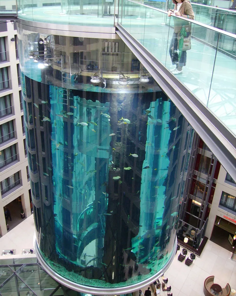 Aquarium in Radisson Sas Hotel