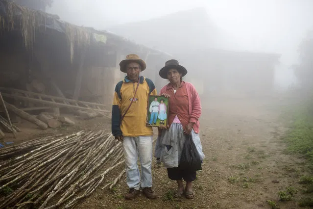 In this March 15, 2015 photo, Julio and Rufina Galvez pose for a picture holding a portrait of their late son Yuri, outside their home, in La Mar province of Ayacucho, Peru. The 25-year-old university student had gotten his father's permission to haul coca in a backpack to pay for his agronomy studies, his mother said. Yuri was found face-up on a mountain trail, with bullet wounds to his head, stomach and arm, in a March 2013 cocaine smuggling trip. (Photo by Rodrigo Abd/AP Photo)