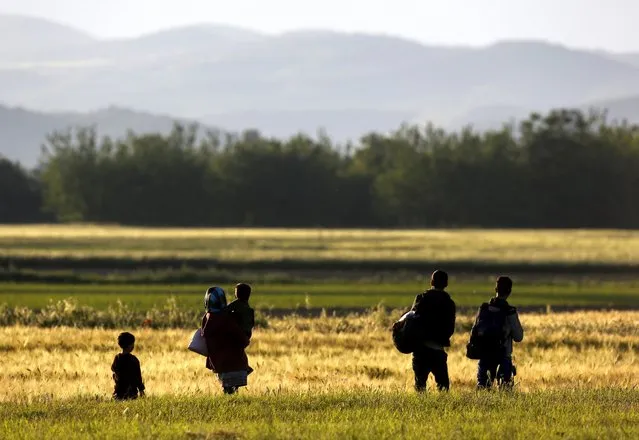 A family of Afghan immigrants pause to look at Macedonian mountains in the distance in a field next to the Greek-Macedonian border while attempting to flee to Macedonia from the border village of Idomeni in Kilkis prefecture May 13, 2015. Hundreds of mostly Afghan, Syrian, and African immigrants cross daily from Greece into Macedonia on their way to northern European countries; most of them are turned back by Macedonian border guards. (Photo by Yannis Behrakis/Reuters)
