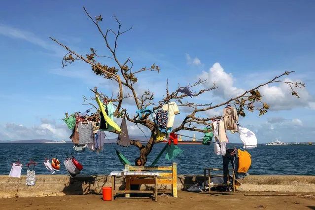 In this photo provided by Greenpeace, clothes are left to dry on a typhoon damaged tree in Surigao City, southern Philippines on Monday December 20, 2021. The governor of a central Philippine province devastated by Typhoon Rai last week pleaded on radio Tuesday for the government to quickly send food and other aid, warning that without outside help, army troops and police forces would have to be deployed to prevent looting amid growing hunger. (Photo by Jilson Tiu/Greenpeace via AP Photo)