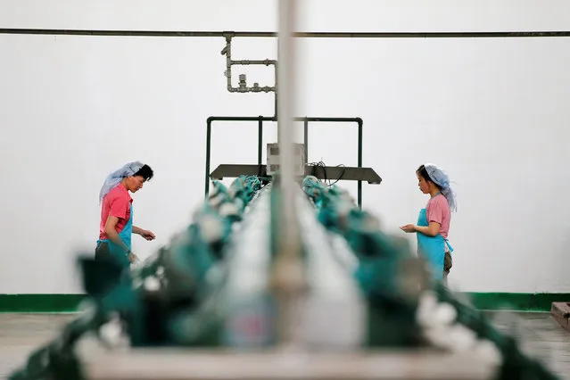 Women work at the Kim Jong Suk Pyongyang textile mill during a government organised visit for foreign reporters in Pyongyang, North Korea May 9, 2016. (Photo by Damir Sagolj/Reuters)