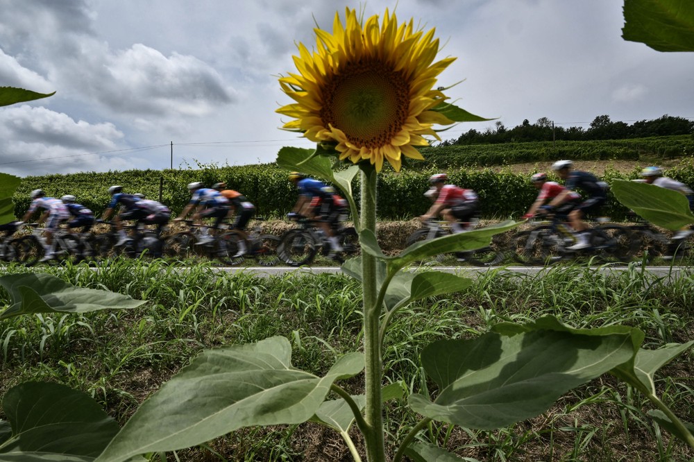 Sport last Week, Part 4/4