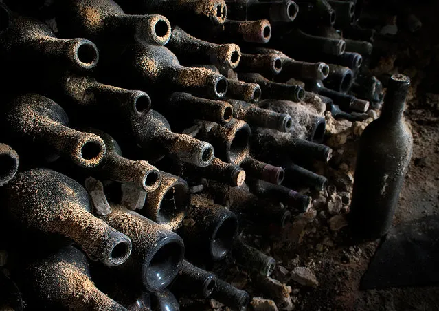 Wine bottles covered with cobwebs and a thick layer of dust. Tucked in the basement of an abandoned farm in a small village in Belgium, where no one has been for 30 years. (Photo by Vincent Jansen)