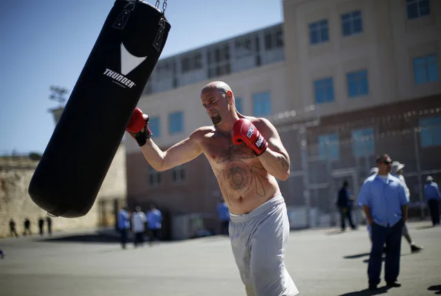 Chris Willis, 34, works out in the exercise yard at San Quentin state prison in San Quentin, California, June 8, 2012. (Photo by Lucy Nicholson/Reuters)