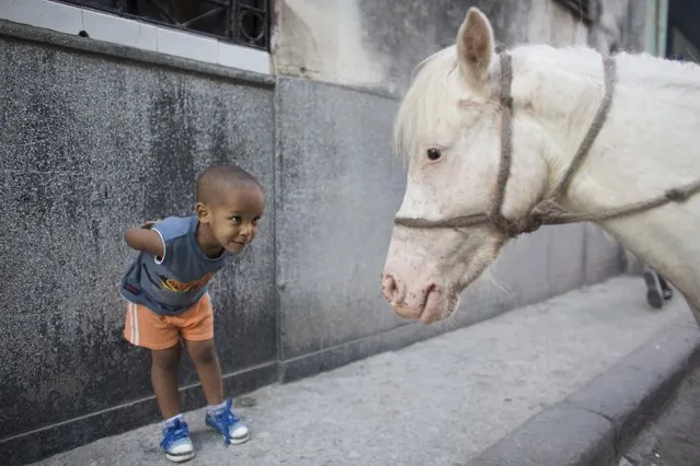 Alexo Carmona, 2, looks at Coco, a two-year-old pony, in downtown Havana, in this March 6, 2015 file photo. Nearly a quarter of a million people follow the Reuters Instagram account – and it's still growing fast. To mark the mid-point of 2015, Reuters has compiled the twenty most-liked pictures so far. This picture was 20th most popular. (Photo by Alexandre Meneghini/Reuters)