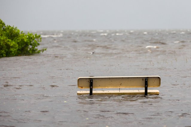 A bench is submerged in water near the R.E. Olds Park on Monday, in Oldsmar on August 5, 2024. (Photo by Jefferee Woo/Tampa Bay Times/ZUMA Press Wire/Rex Features/Shutterstock)