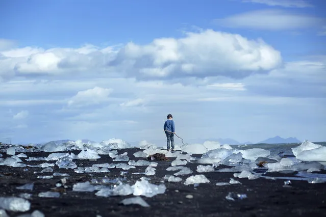 “The Explorer”. In the Freezing cold air of Jökulsárlón, Iceland, A boy ran around, discovering the glistening washed up Ice blocks, remnants of huge icebergs broken up that drifted into the sea. Photo location: Jökulsárlón, Iceland. (Photo and caption by Ronen Goldman/National Geographic Photo Contest)