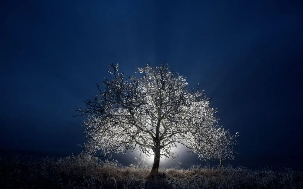 Some Photos: Silhouettes