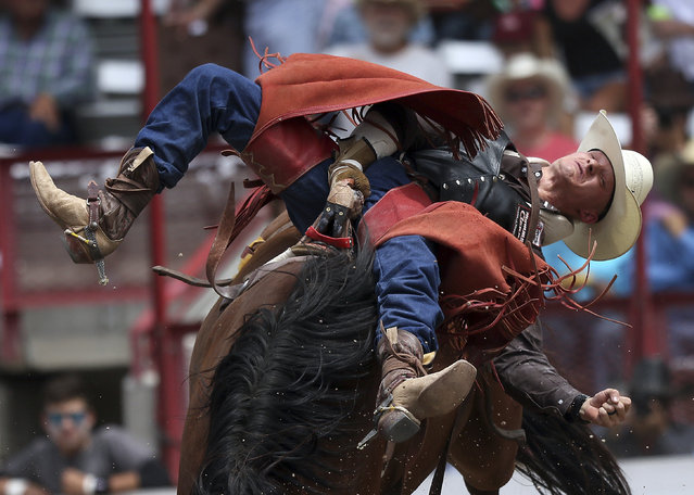 Logan Corbett, of Las Cruces, N.M., competes during bareback at  theCheyenne Frontier Days Rodeo at Frontier Park Arena on Saturday, July 29, 2017, in Cheyenne, Wyo. (Photo by Blaine McCartney/Wyoming Tribune Eagle via AP Photo)