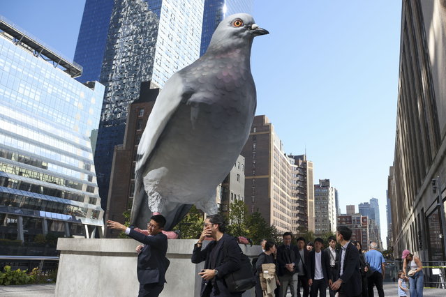 People walk past “Dinosaur”, a hyper-realistic sculpture of a pigeon cast in aluminum created by Colombian-French artist Ivan Argote, displayed at the High Line Plinth in New York, USA, 21 October 2024. The sculpture will be on display for 18 months on the High Line Plinth, as part of a display of artworks in the heart of the city that began in 2019. (Photo by Sarah Yenesel/EPA)