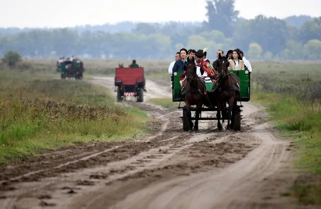 Prince Akishino (L), the 2nd son of Japan's emperor Akihito is transported by a local horse-carriage with his 1st daughter Princess Mako (R) at Bugac Puszta, about 100 km south from Hungarian capital Budapest, on August 20, 2017 during the second day of their non-official visit in Hungary. (Photo by Attila Kisbenedek/AFP Photo)