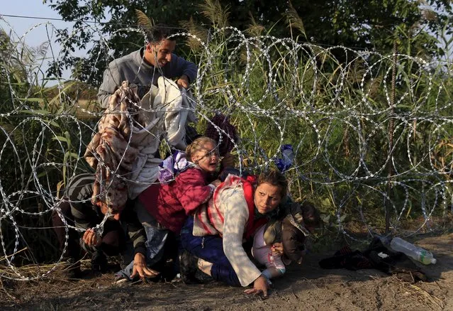 Syrian migrants cross under a fence as they enter Hungary at the border with Serbia, near Roszke, August 27, 2015. (Photo by Bernadett Szabo/Reuters)