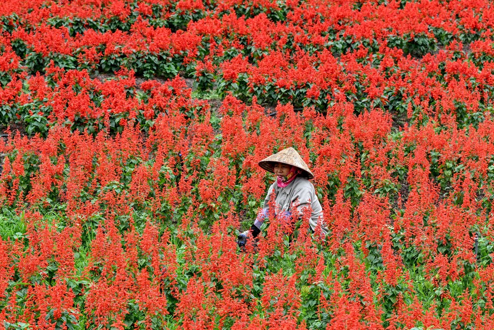 A Look at Life in Vietnam
