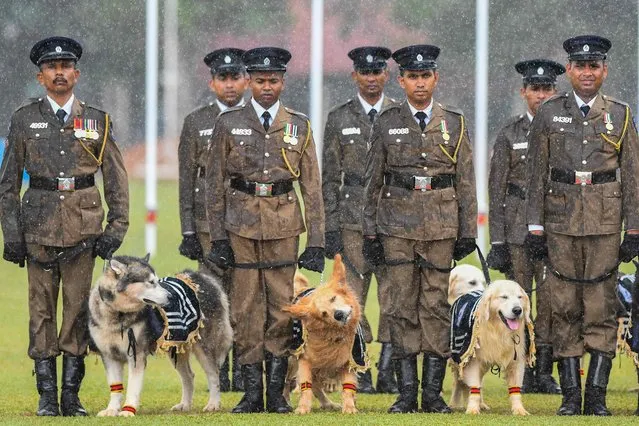 Members of Sri Lanka police personnel and their dogs take part in the 156th Sri Lanka Police Day celebrations in Colombo on September 3, 2022. (Photo by Ishara S. Kodikara/AFP Photo)