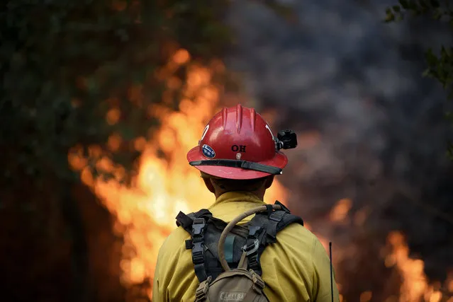 A firefighter keeps watch as the Thomas wildfire burns near Carpinteria, California on December 11, 2017. The fire destroyed hundreds of homes and prompted massive mandatory evacuations. (Photo by Ronen Tivony/NurPhoto via Getty Images)