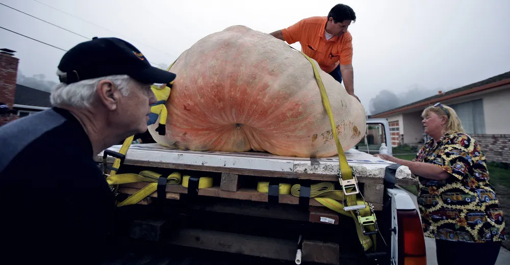 2015 Pumpkin World Championship