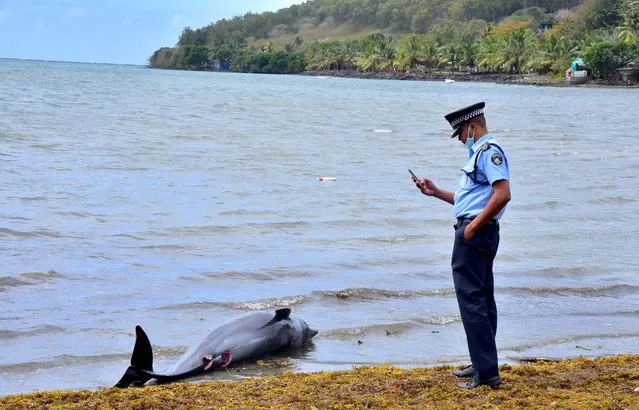 A policeman takes a photograph of a carcass of a dolphin that died and was washed up on shore near the site of an oil spill caused by a Japanese ship that struck a coral reef, at the Grand Sable, Mauritius, August 26, 2020. The full impact of the spill is still unfolding, but scientists have warned to brace for a major ecological disaster in the area, which could impact Mauritius and its tourism-dependent economy for decades. (Photo by Beekash Roopun/L'Express Maurice via Reuters)
