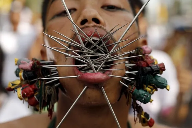 A devotee of the Chinese Samkong Shrine walks with spikes pierced through his cheeks during a procession celebrating the annual vegetarian festival in Phuket, Thailand October 16, 2015. The festival, featuring face-piercing, spirit mediums and strict vegetarianism celebrates the local Chinese community's belief that abstinence from meat and various stimulants during the ninth lunar month of the Chinese calendar will help them obtain good health and peace of mind. (Photo by Jorge Silva/Reuters)