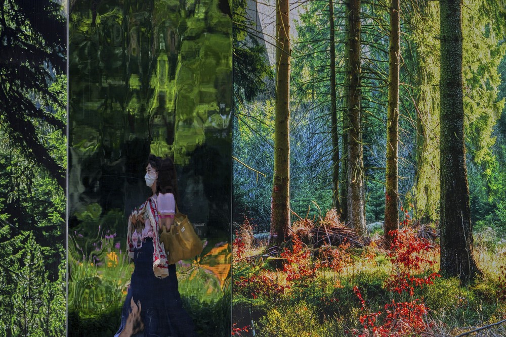 Some Photos: Reflection