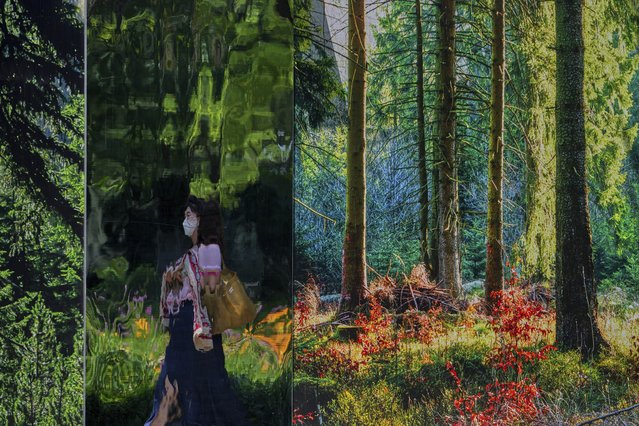 A woman is reflected on a panel of a display board depicting a forest at a construction site, in Beijing, Tuesday, June 17, 2025. (Photo by Andy Wong/AP Photo)