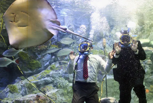 Comedians of Yoshimoto Kogyo Co. Ltd perform at Sunshine International Aquarium on February 21, 2005 in Tokyo, Japan. (Photo by Koichi Kamoshida/Getty Images)