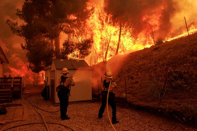 Firefighters battle flames from the Canyon Fire on August 7, 2025 in Castaic, California. Evacuation warnings have been issued from the L.A. County line to the northwest of Lake Piru. According to the National Weather Service, temperatures in the area reached between 90 to 100 degrees with 15% to 20% humidity. (Photo by Eric Thayer/Getty Images)